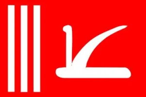 Jammu - Kashmir National Flag Printed