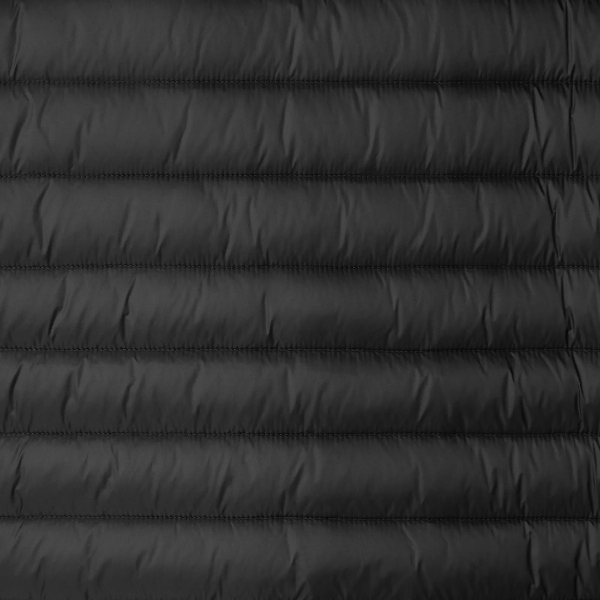 Man's animal free hooded puffer jacket Donald in black